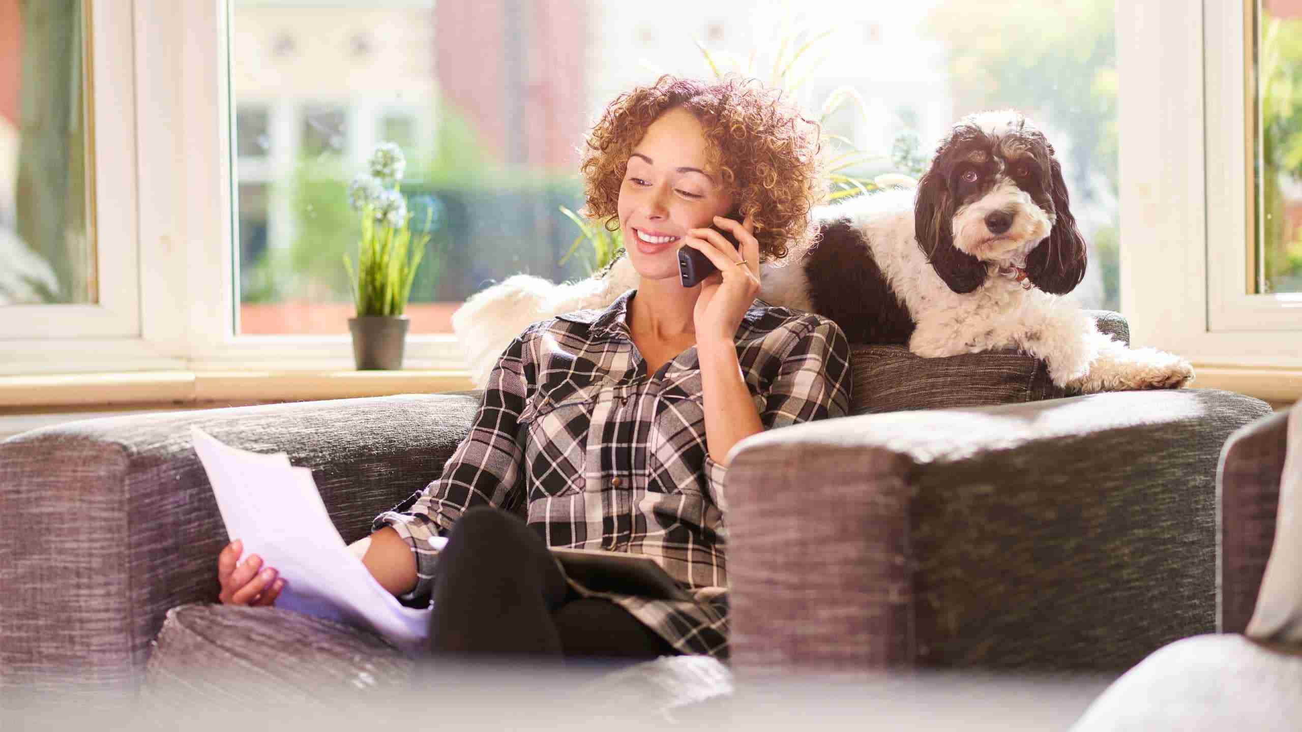 Compulsory dog liability insurance in Spain
