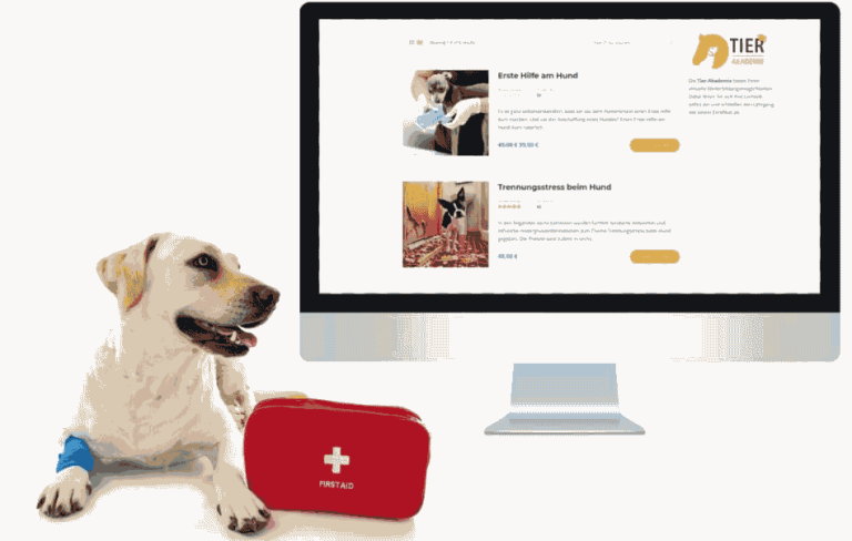 online kurs 768x488