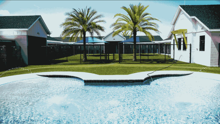 petparadis 768x435