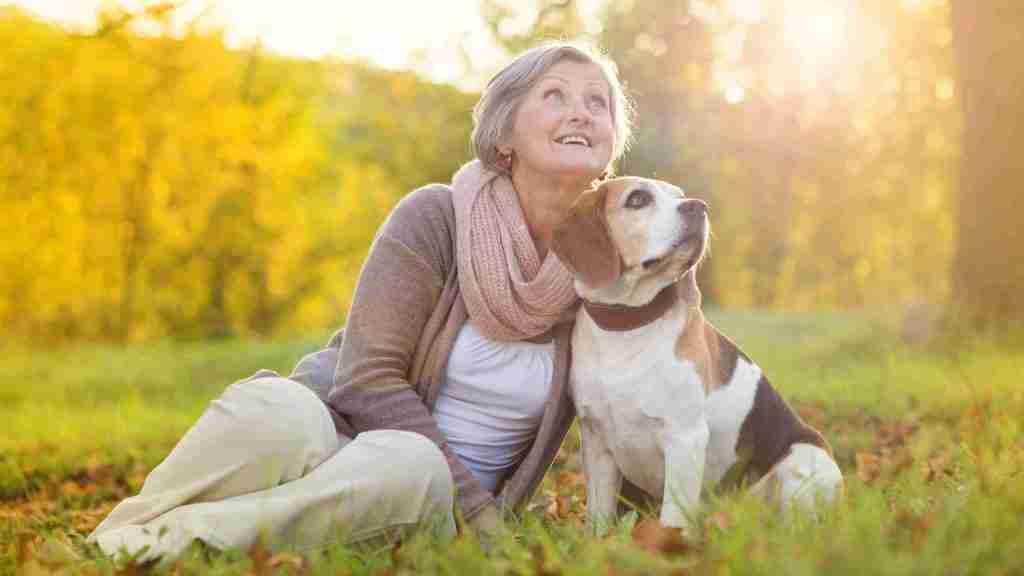 Hundefreundliche Seniorenresidenz