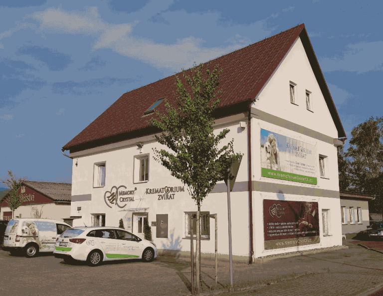 mp1 768x593