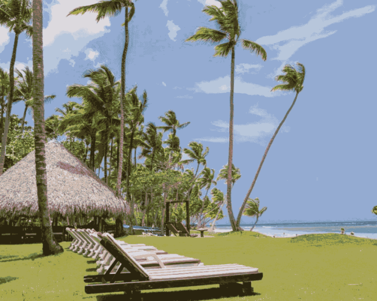 at1 768x614