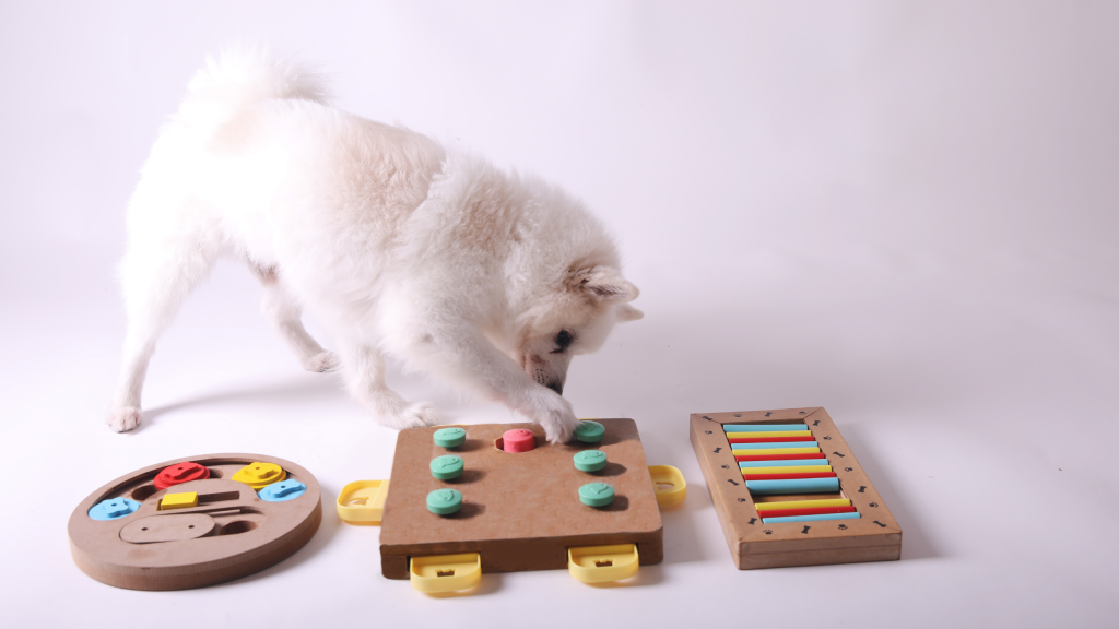 Dog and intelligence games